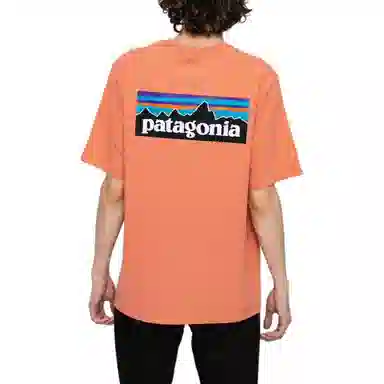 Patagonia P-6 Logo T-Shirt
