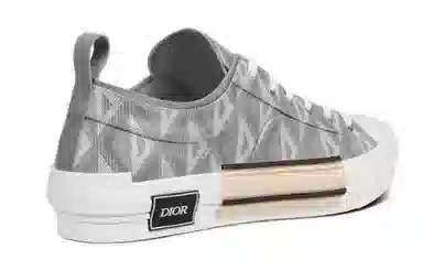 Dior B23 Low Grey