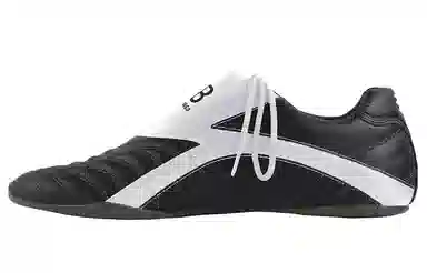 Balenciaga Zen