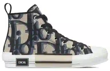 Dior B23 High-Top Canvas
