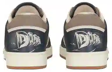 Dior B27 Low Grey Brown