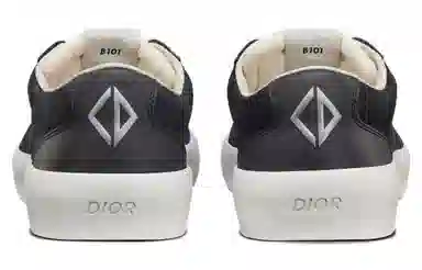 DIOR B101