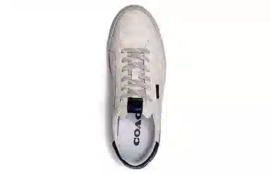 COACH CitySole Lowline Grey Blue