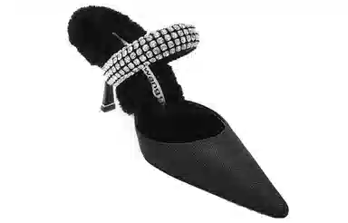 alexander wang grace