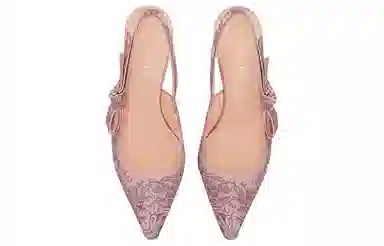 Dior J'Adior Embroidered Pumps 6.5cm Pink