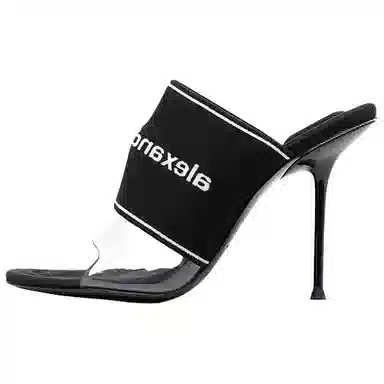 alexander wang Sienna