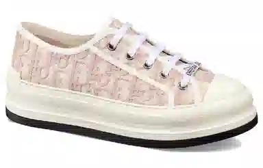 Dior Walk'n'Dior Oblique Pink