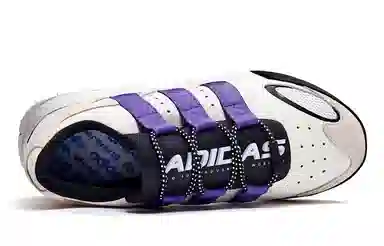 Alexander Wang x Adidas Originals Wangbody Run White Purple