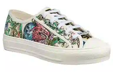 DIOR Walk'n'Dior D-Constellation