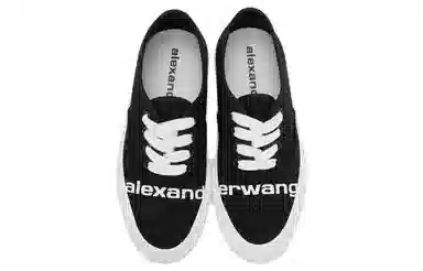 alexander wang Dropout