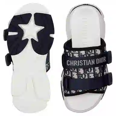 Dior D-Wander