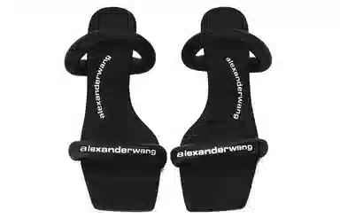 alexander wang Julie