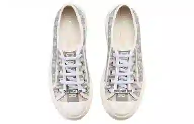 Dior Walk'n'Dior Oblique