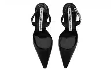 Alexander Wang Grace