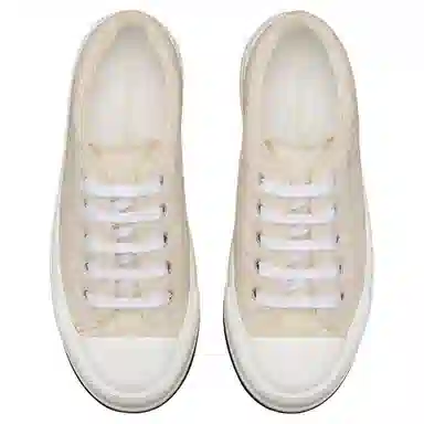 DIOR Walk'n'Dior Oblique