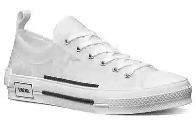 Dior B23 Oblique White