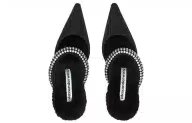 alexander wang grace