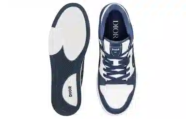 Dior Low Top Sneakers Navy Blue