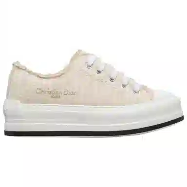 DIOR Walk'n'Dior Oblique