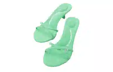 alexander wang Dahlia 50