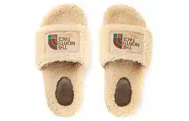 The North Face x Gucci