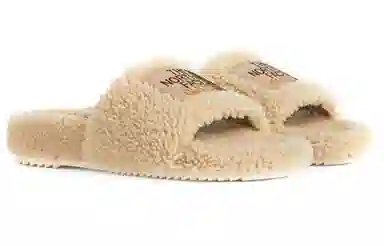 The North Face x Gucci