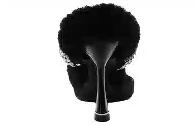 alexander wang grace