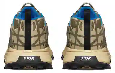 Dior B31 Brown