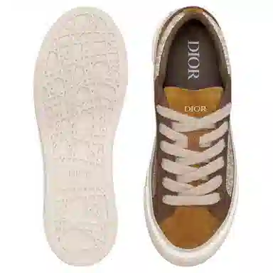 Dior B33 Brown