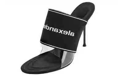 alexander wang Sienna