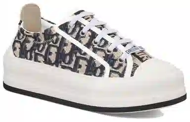 DIOR Walk'n'Dior Oblique