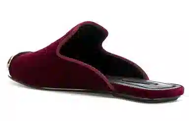 alexander wang Jaelle