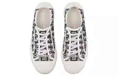 DIOR Walk'n'Dior Oblique