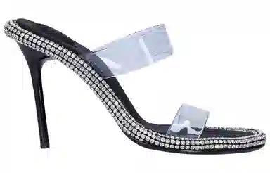 alexander wang PVC 10.5cm