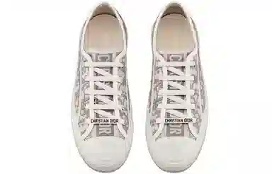 Dior Walk'n'Dior Grey