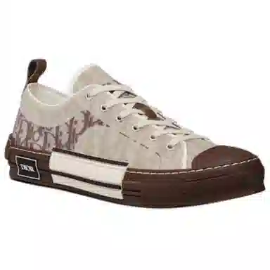 Dior B23 Oblique Coffee