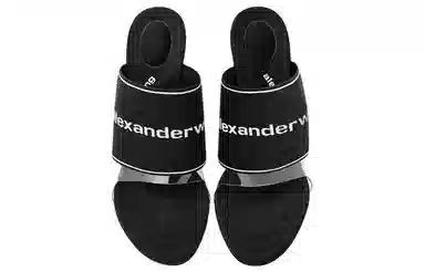 alexander wang Sienna