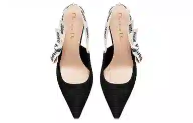 DIOR J'Adior Embroidered Heel Pumps Black