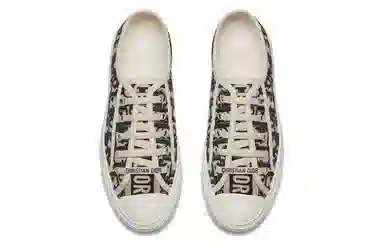 Dior Walk'n'Dior Oblique Blue