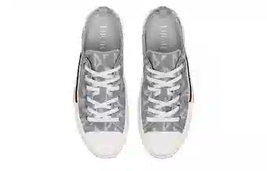 Dior B23 Low Grey