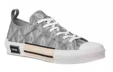 Dior B23 Low Grey