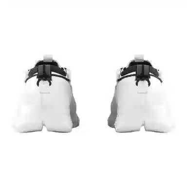 Canada Goose Glacier Trail