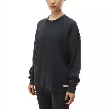 alexander wang T