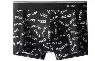 CKCalvin Klein Logo 1