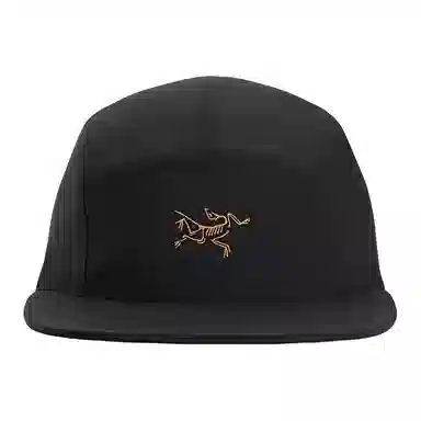 Arcteryx Cap
