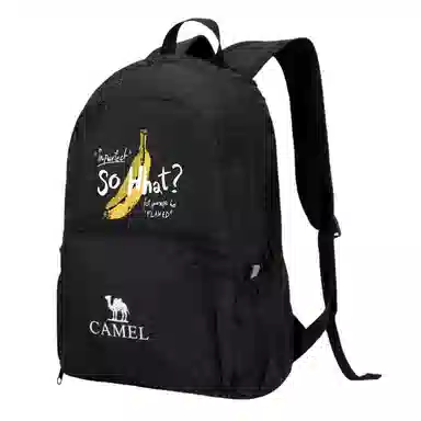 CAMEL 21L