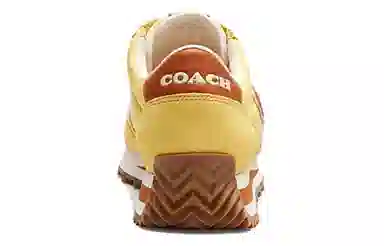 COACH Signature