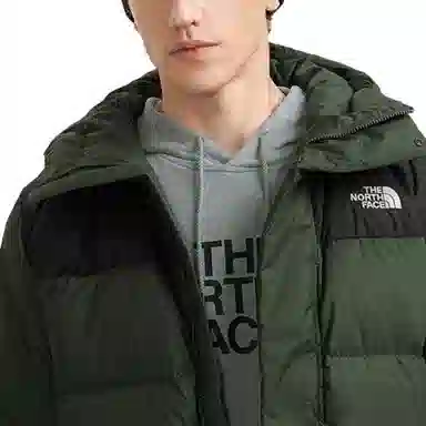 THE NORTH FACE Logo