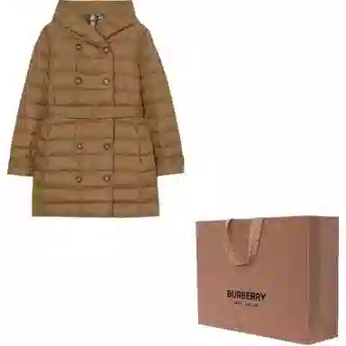 Burberry SS25 Brown