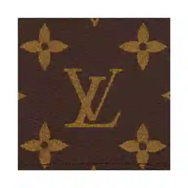 Louis Vuitton Canvas Passport Holder Brown